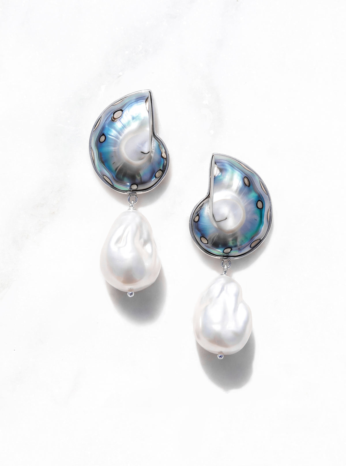 925 Silver Encased Jaguar Nautilus Shell Drop Earrings