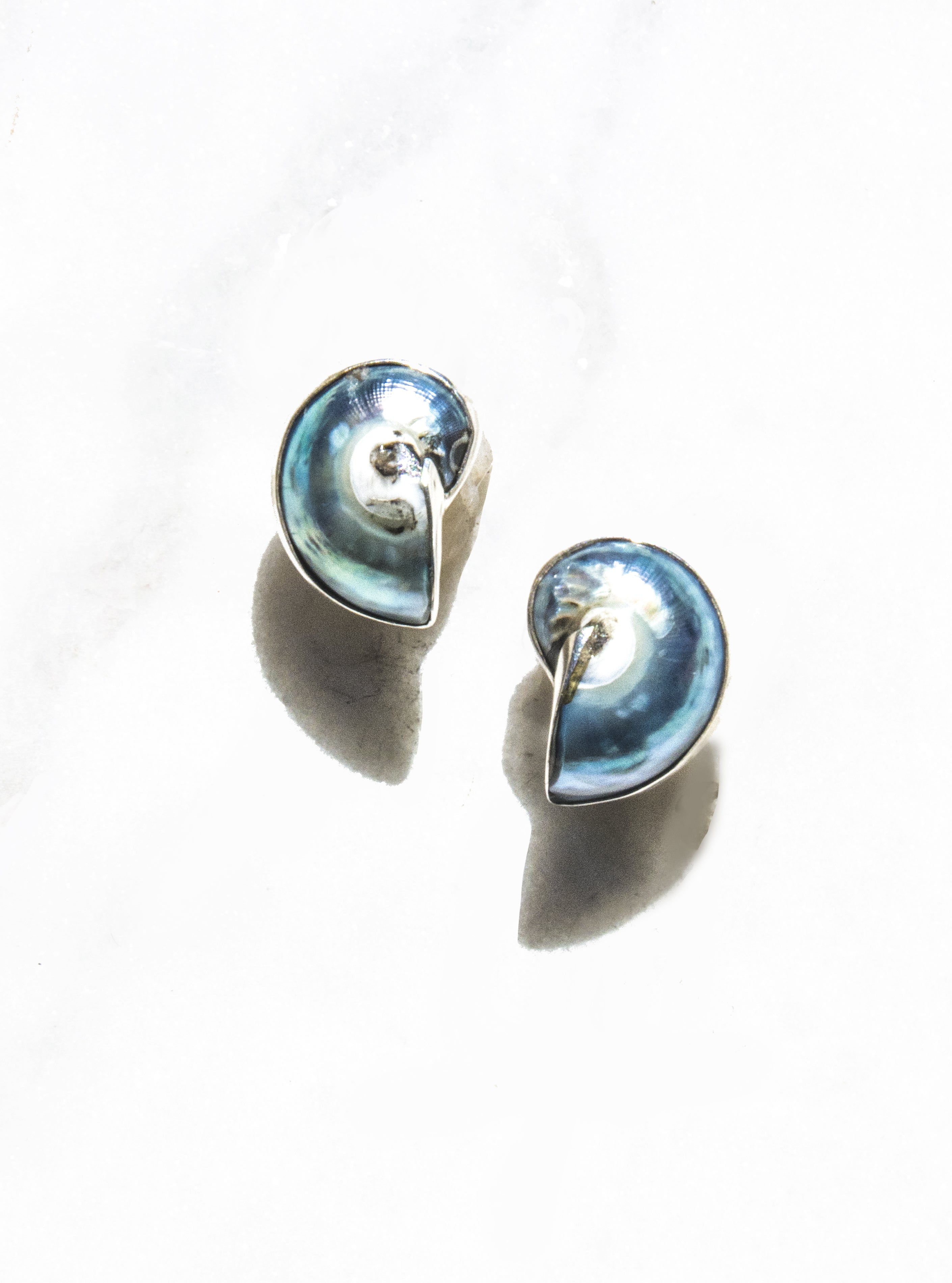 Buy Now Silver Nautilus Shell Earrings – lilyfrankjewelry