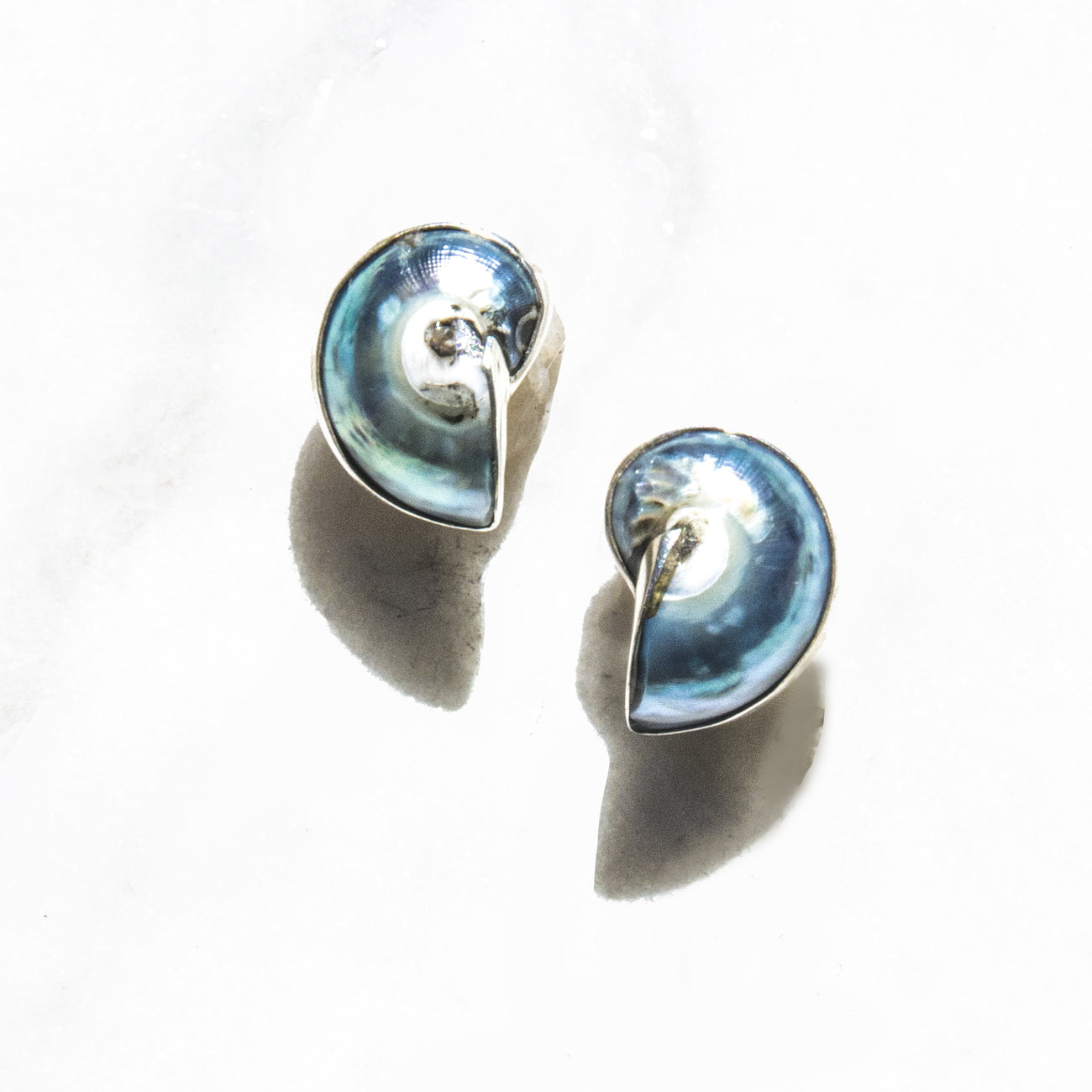 925 Silver Encased Mini Nautilus Shell Earrings