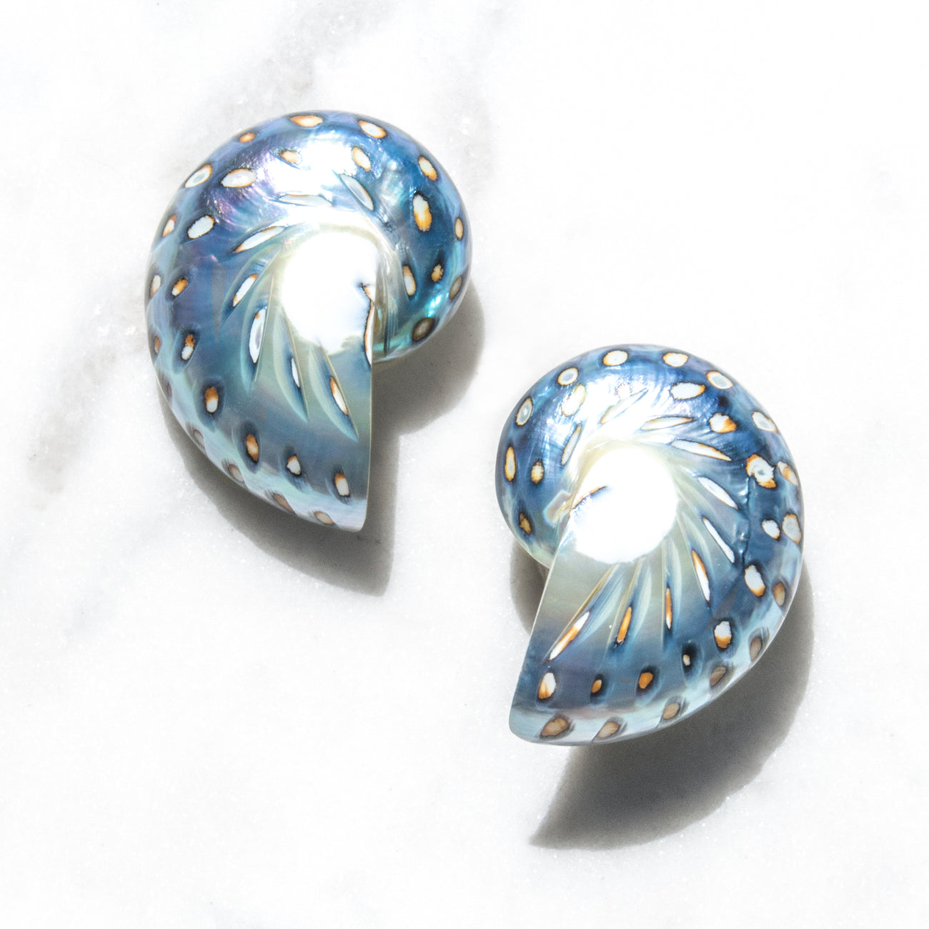 Jaguar Nautilus Shell Earrings