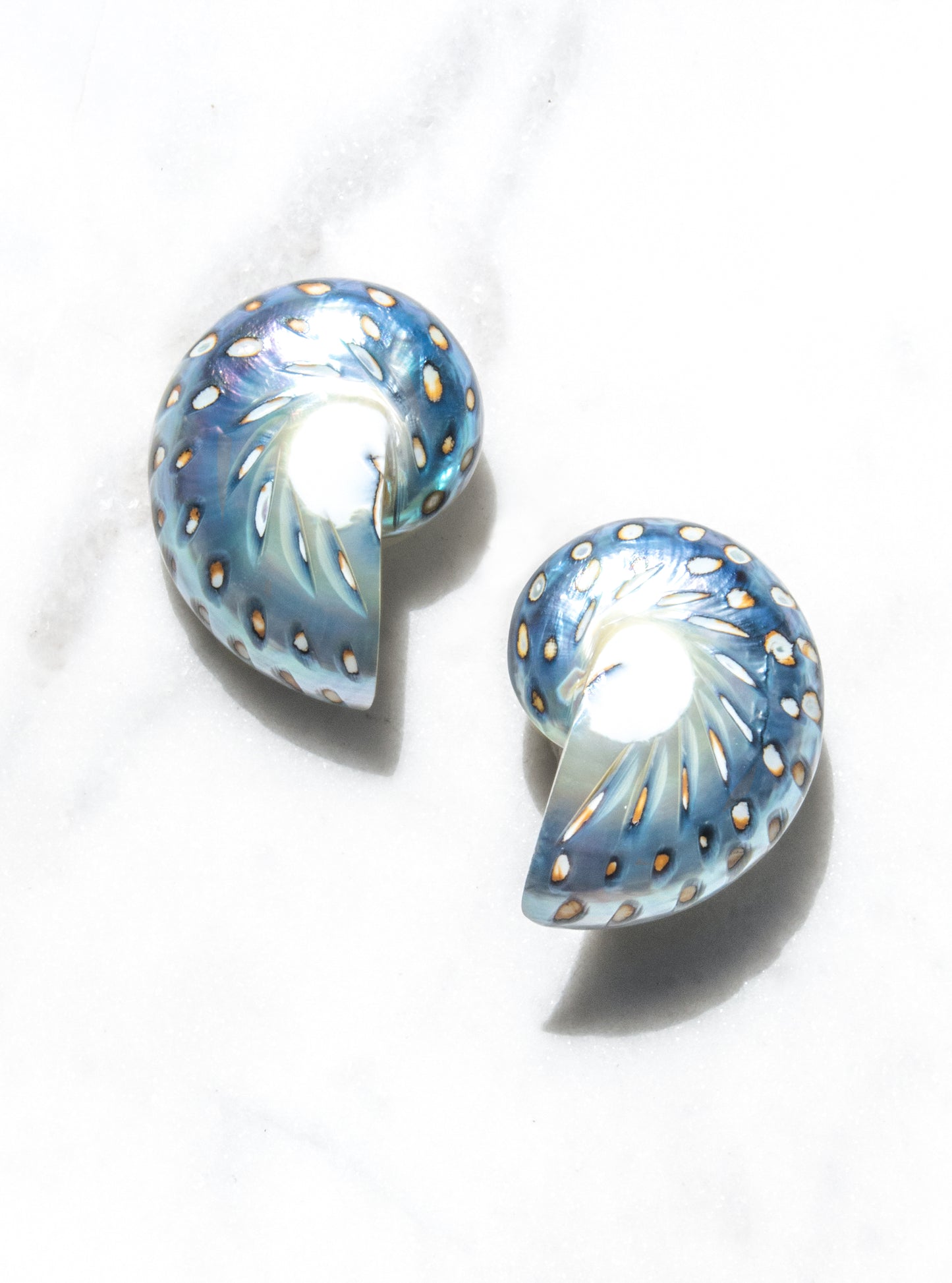 a pair of large jaguar shell earrings on a white backdrop — Lily Frank Jewelry
