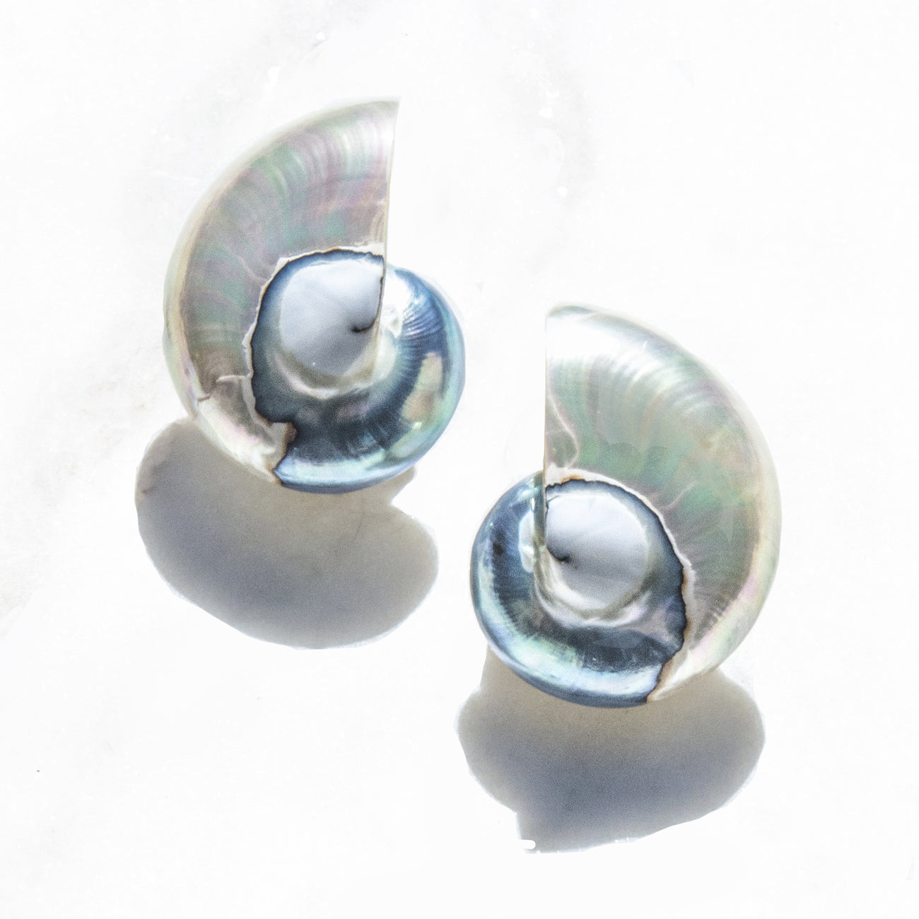 
                      
                        Large Nautilus Shell Earrings
                      
                    