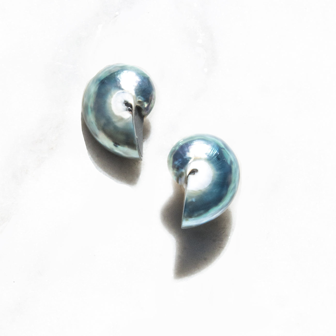 Mini Nautilus Shell Earrings