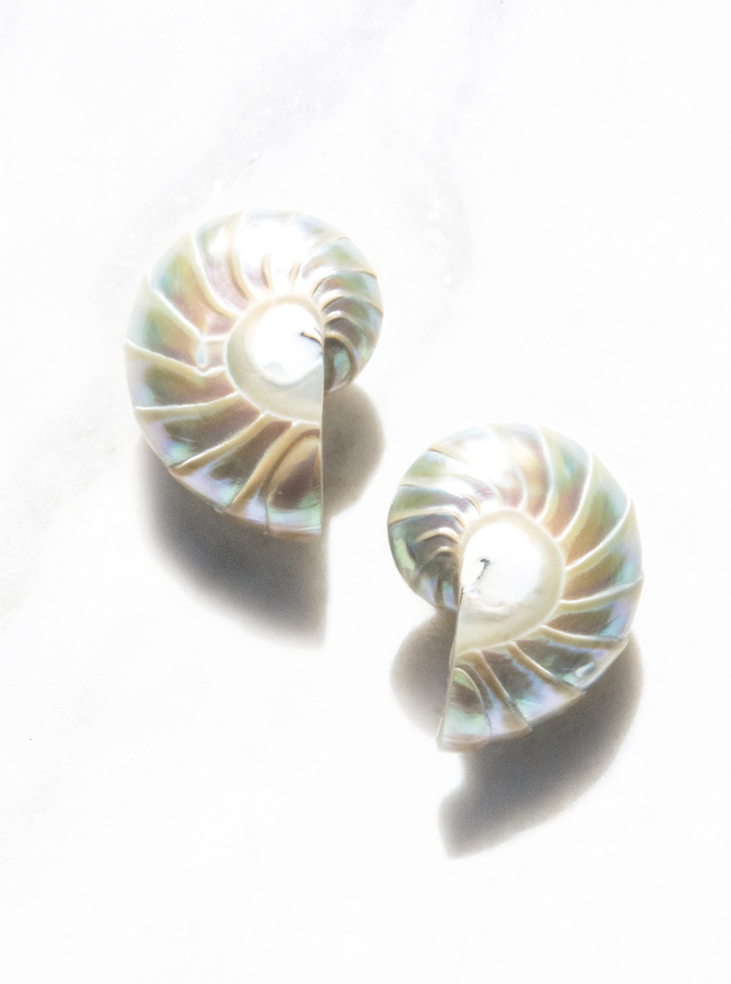 a pair of small pearl nautilus shell earrings with soft pearlescent finish — Lily Frank Jewelry