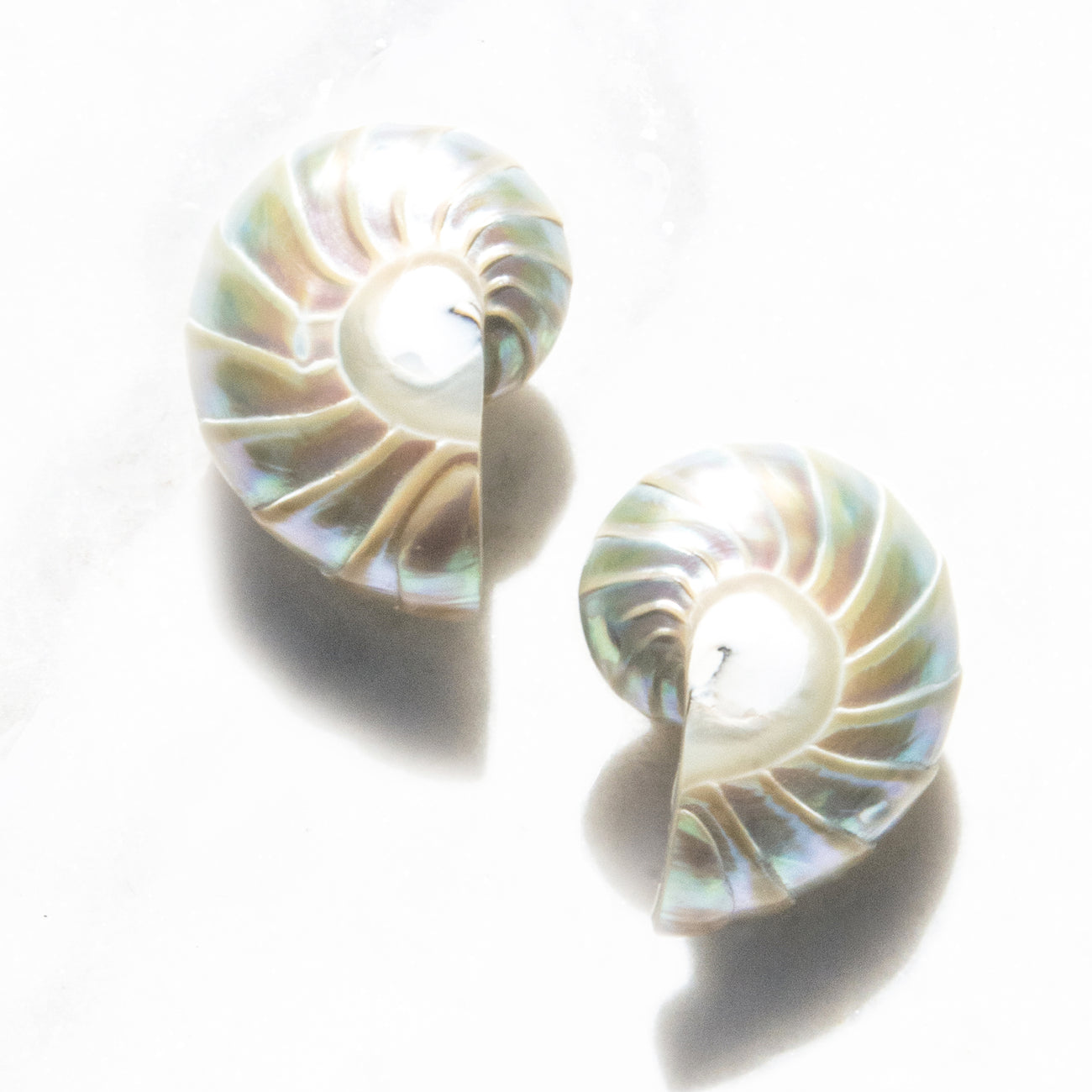 Small Rainbow Nautilus Shell Earrings