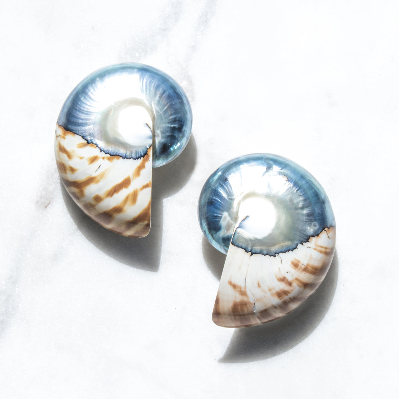 Shells