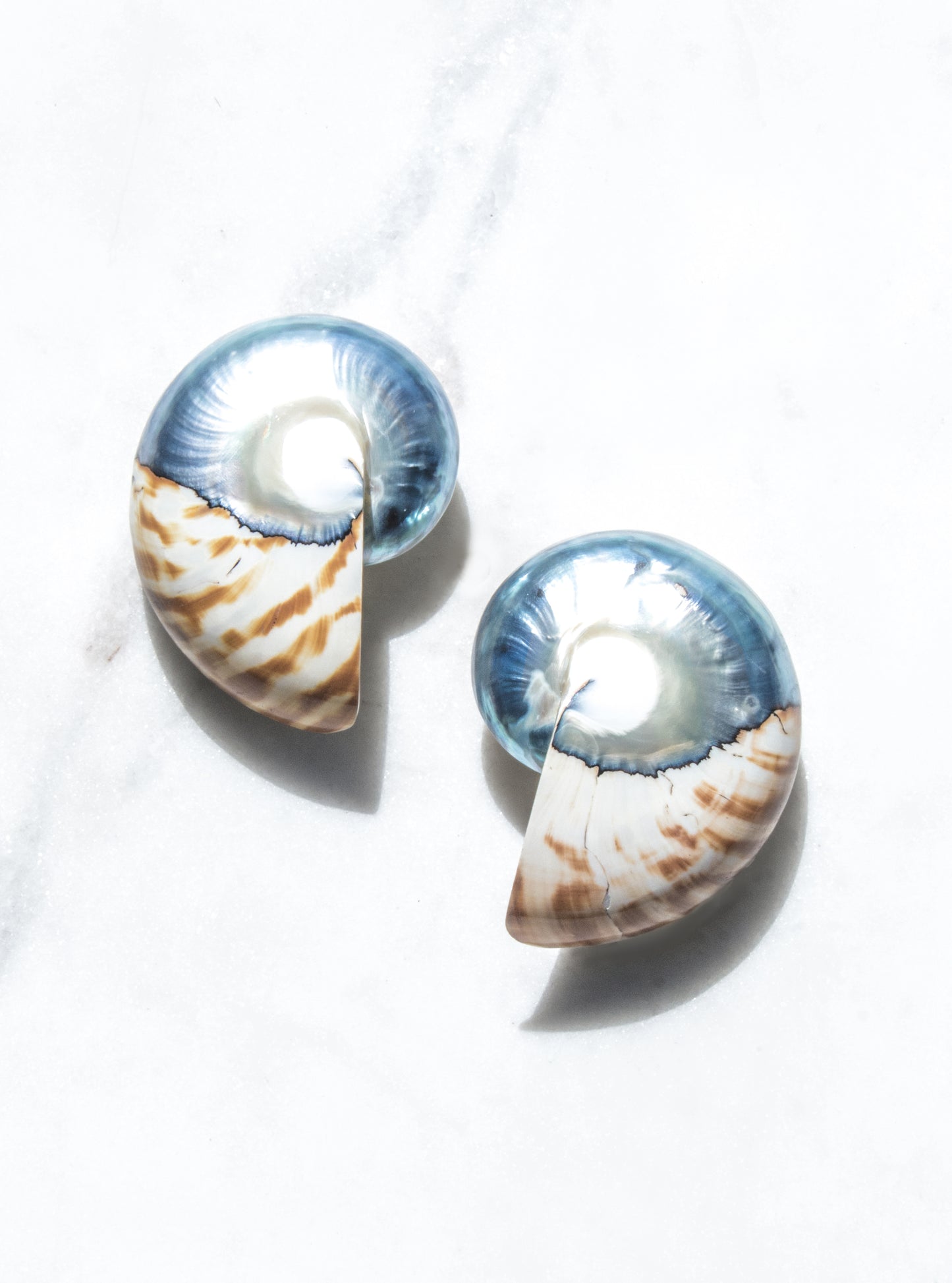 Shells