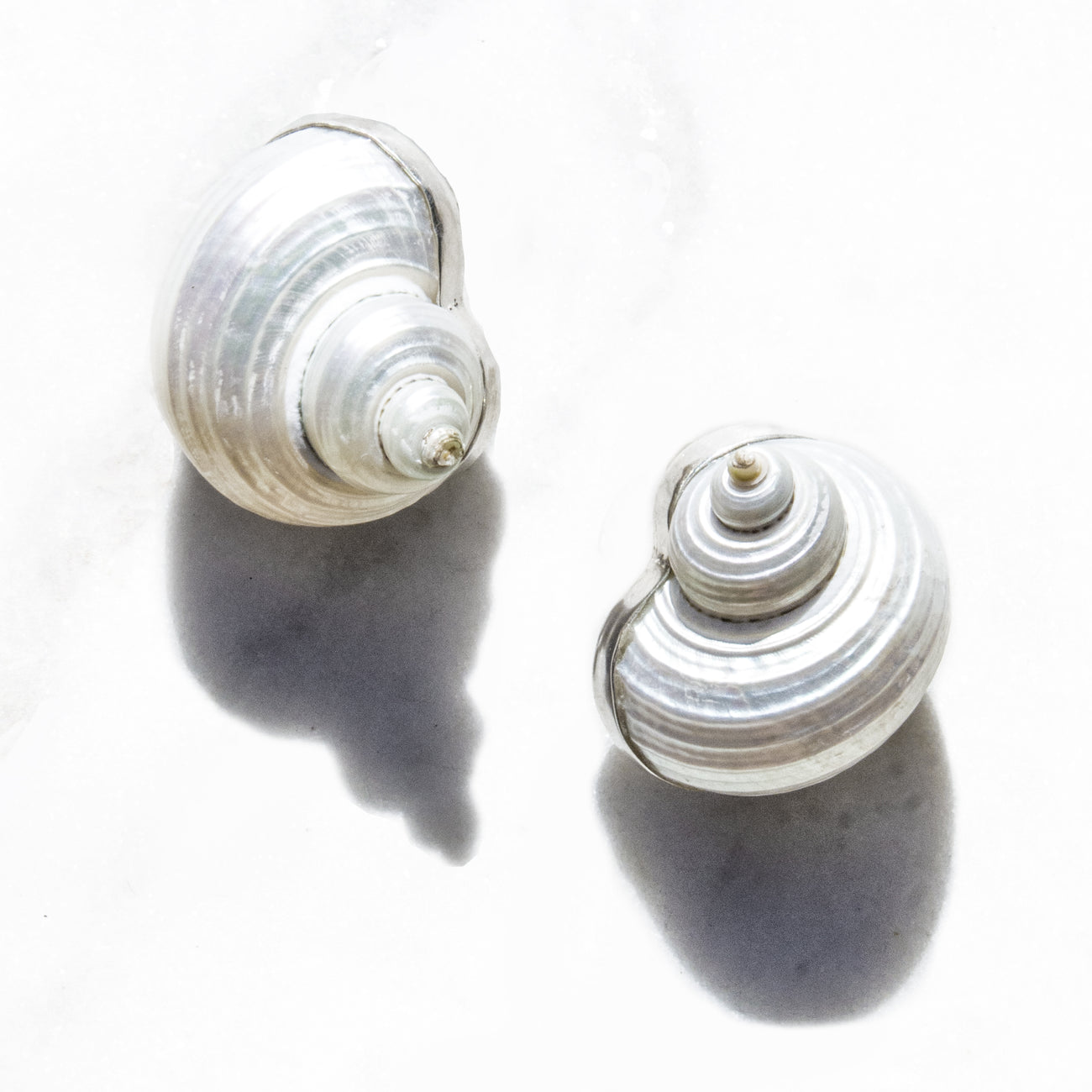 Betsy Shell Earrings