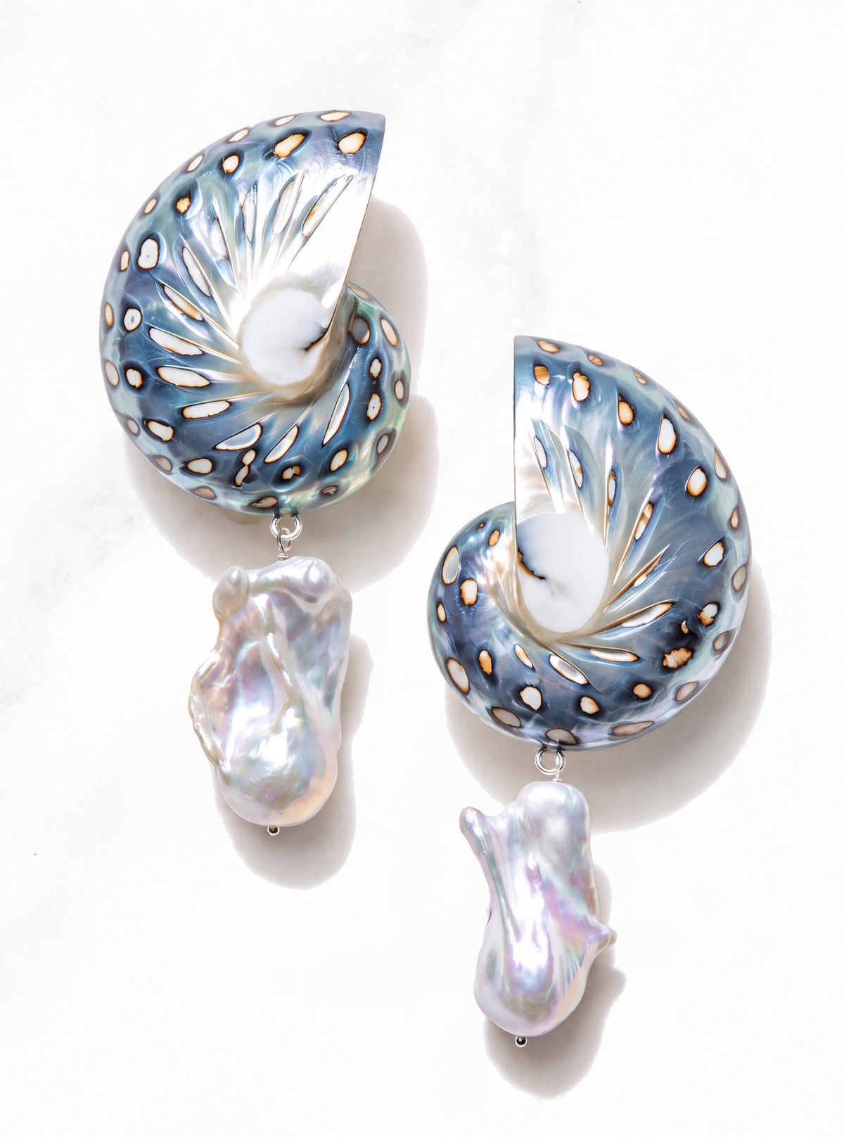 Large Jaguar Nautilus Shell Drop Earrings