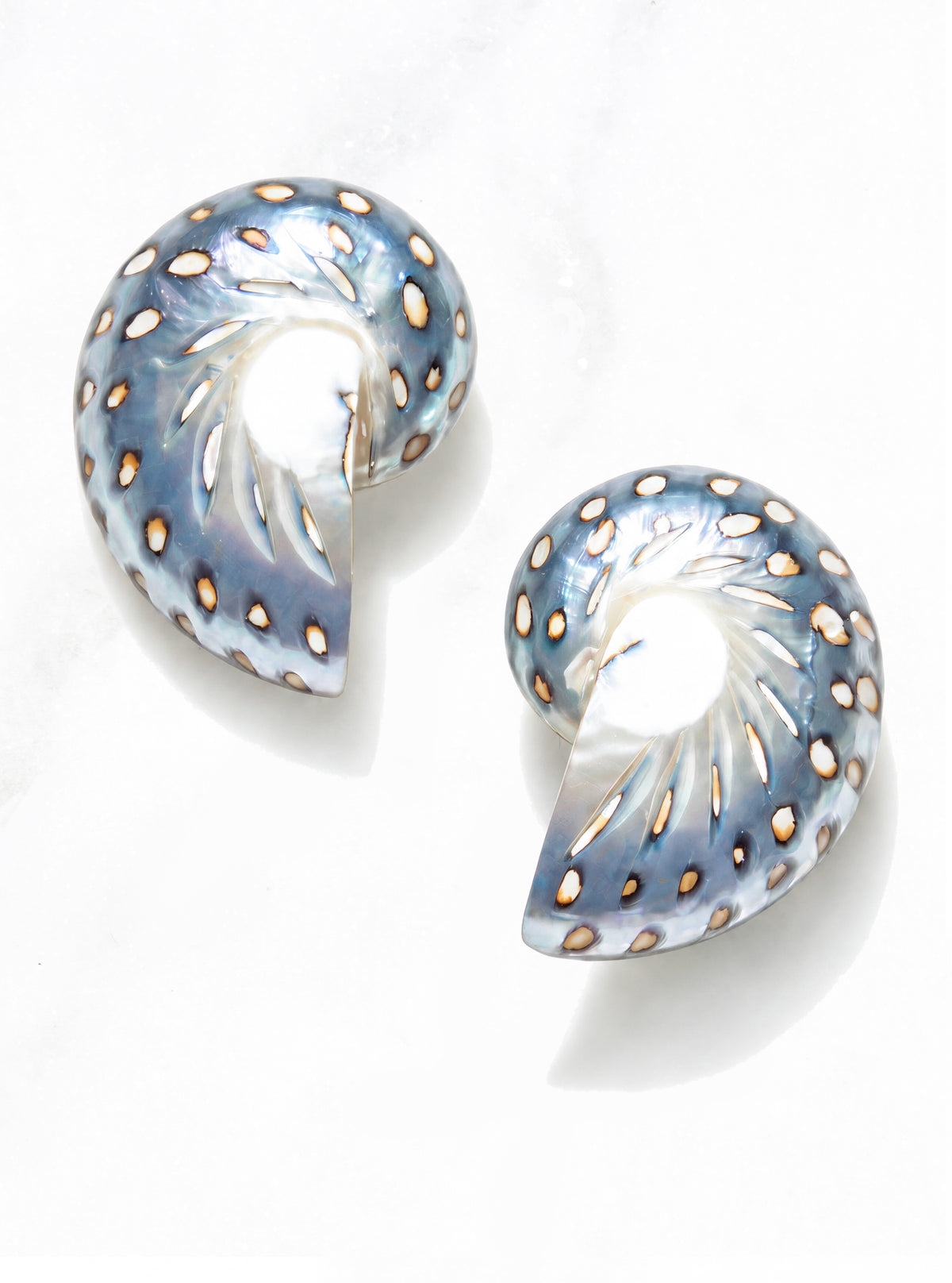 Large Jaguar Nautilus Shell Earrings