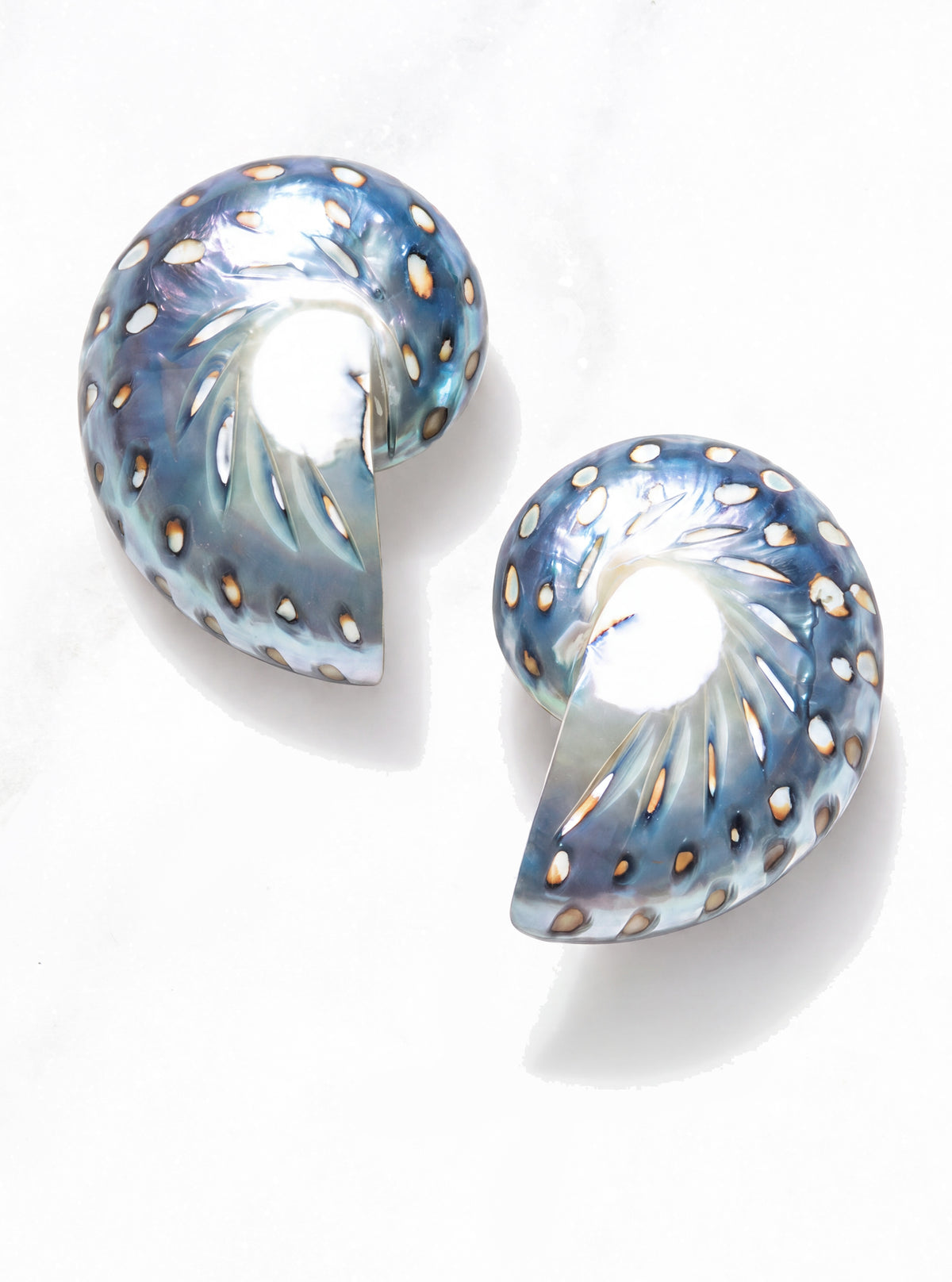 a pair of large jaguar nautilus shell earrings against a marble background | Lily Frank Jewelry