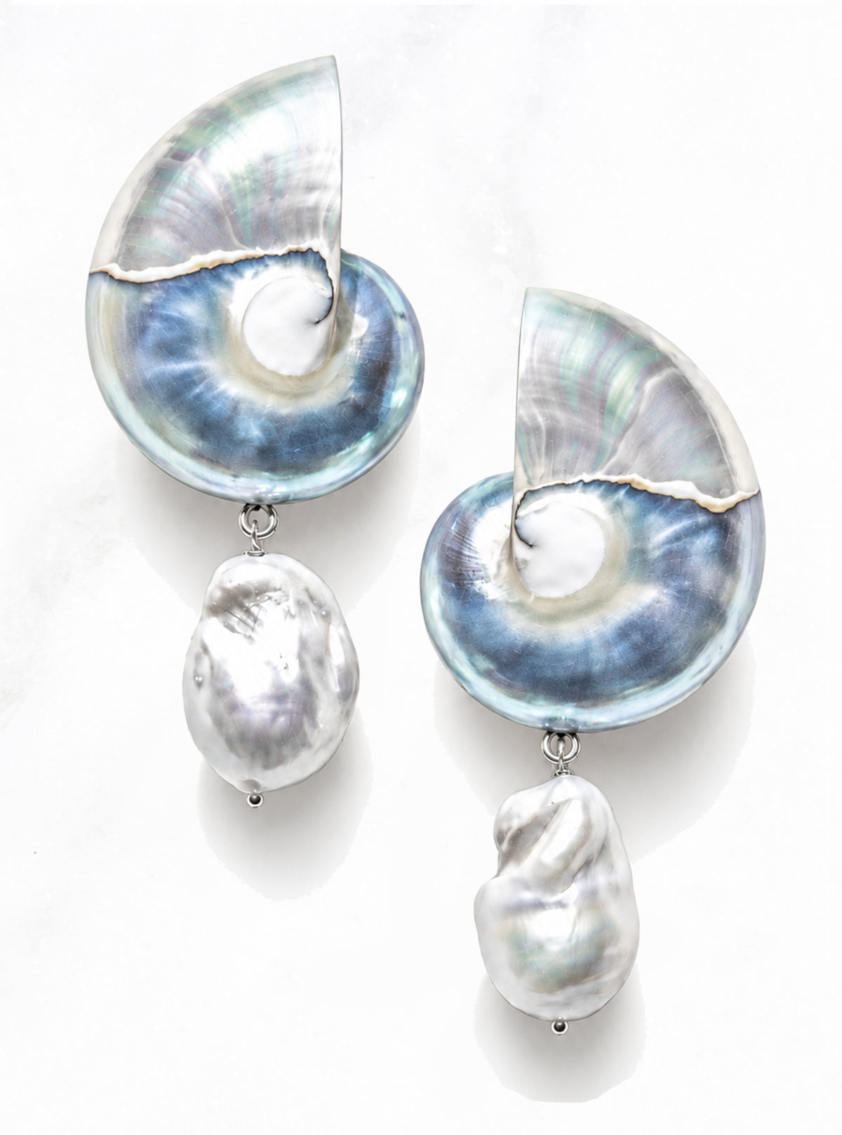 Large Two Toned Nautilus Shell Drop Earrings