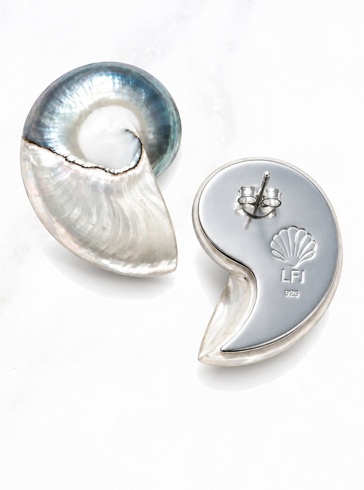 Large Two Toned Nautilus Shell Earrings