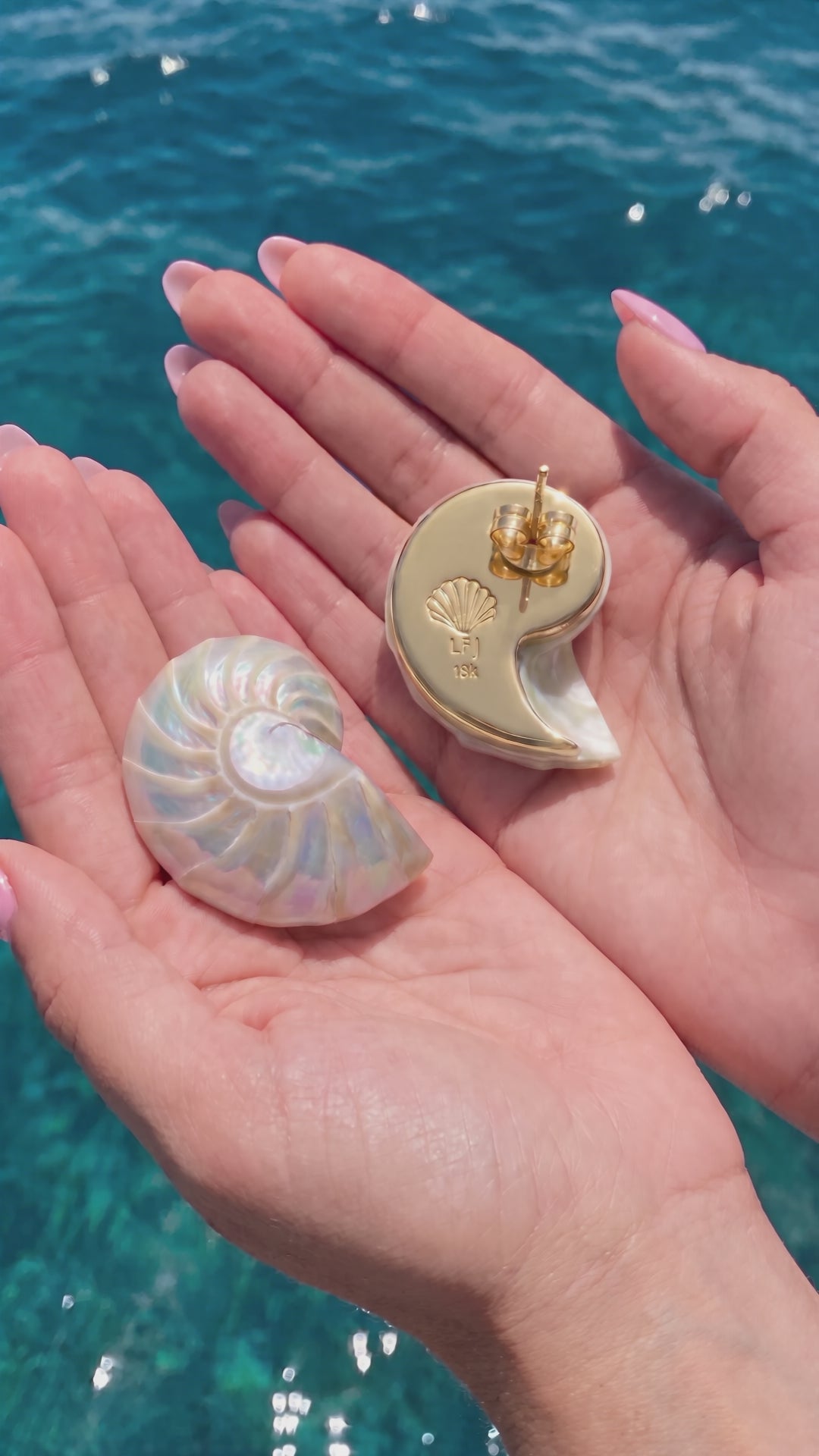 Large Pearl Nautilus Shell Earrings