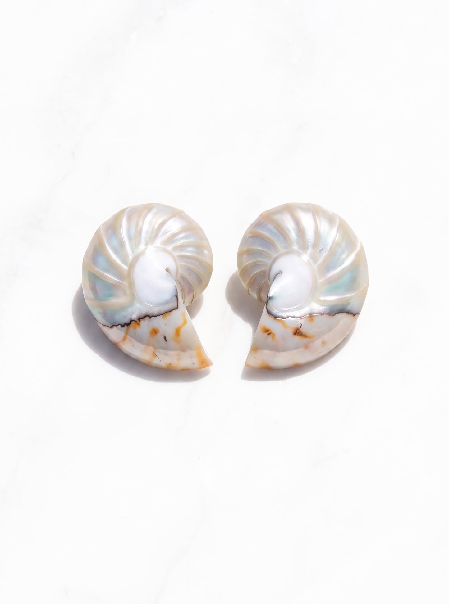 A pair of small banded autilus shell earrings with iridescent white, blue, and beige tones, displayed on a white marble surface | Lily Frank Jewelry