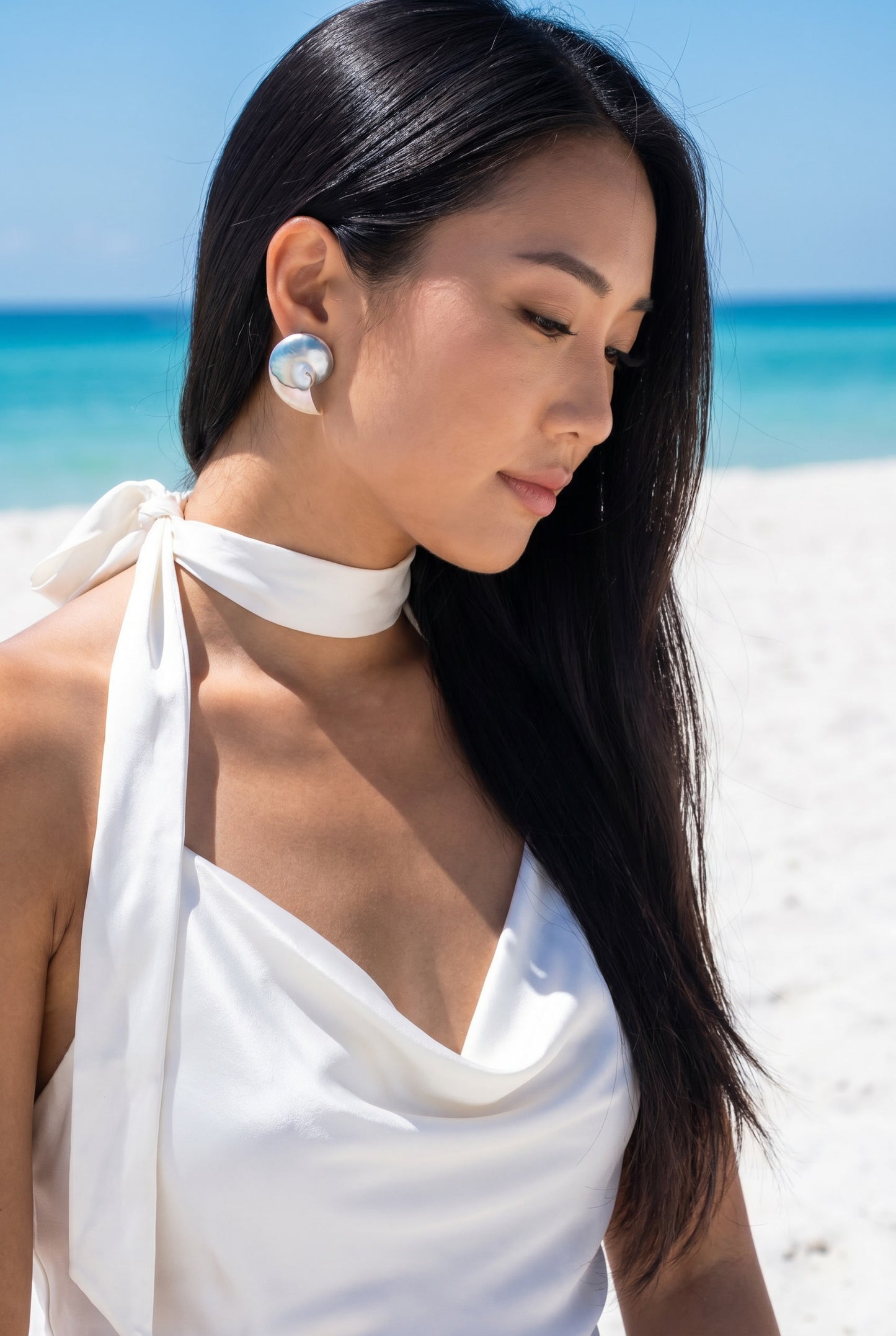 Small Two Toned Nautilus Shell Earrings